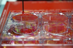 Bioimpresora 3D capaz de crear piel humana. / Efe